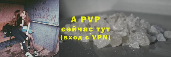Альфа ПВП Белокуриха