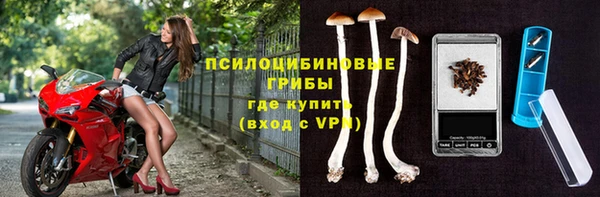 Альфа ПВП Белокуриха
