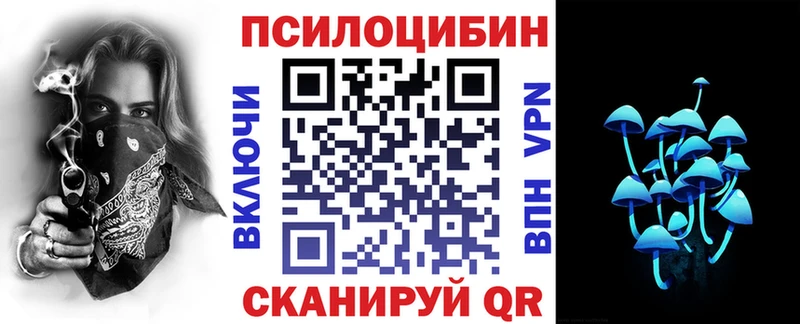 как найти   Воронеж  Галлюциногенные грибы мицелий 